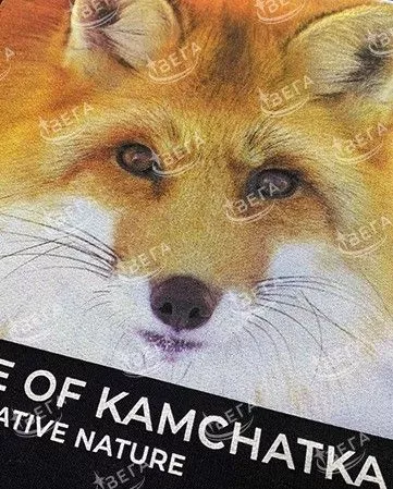 Заголовок элемента